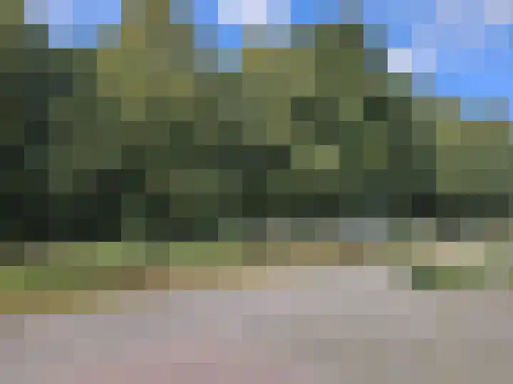 Bereklauw 48 Klazienaveen thumbnail 25