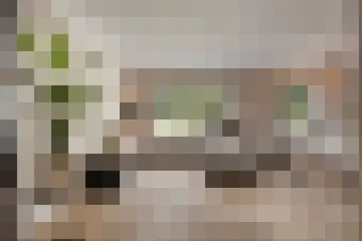 Bereklauw 48 Klazienaveen thumbnail 4
