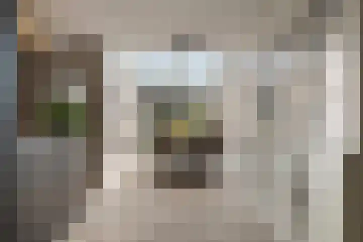 Bereklauw 48 Klazienaveen thumbnail 5