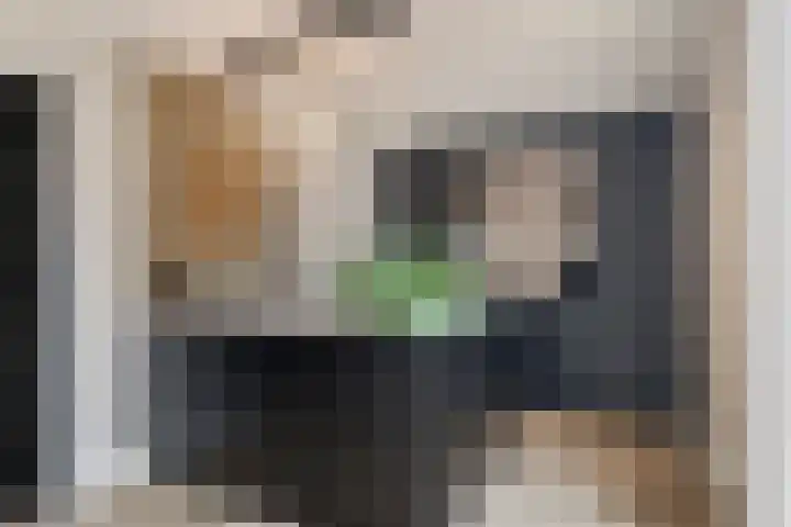 Bereklauw 48 Klazienaveen thumbnail 7