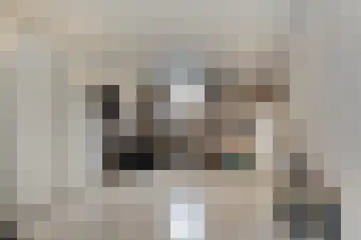 Bereklauw 48 Klazienaveen thumbnail 9