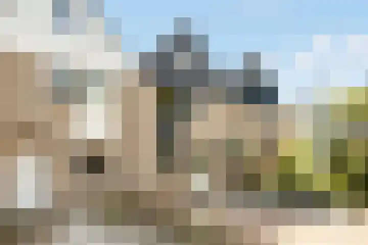 Bereklauw 5 Maartensdijk