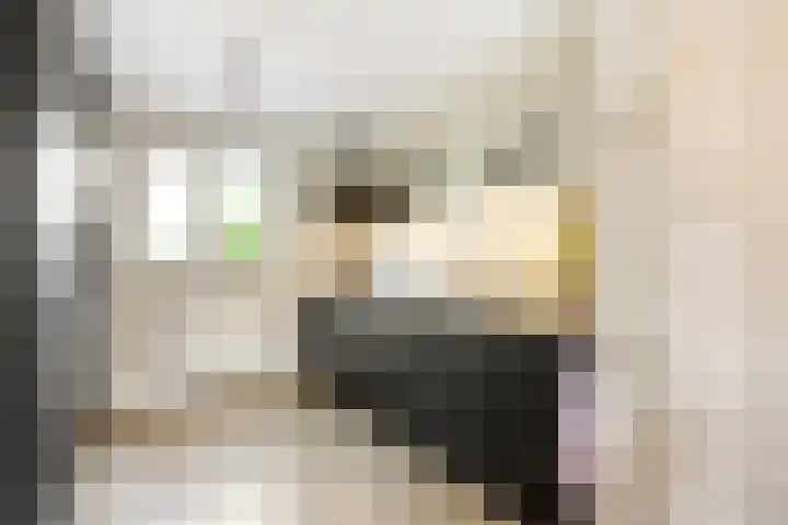 Bereklauw 5 Maartensdijk thumbnail 11