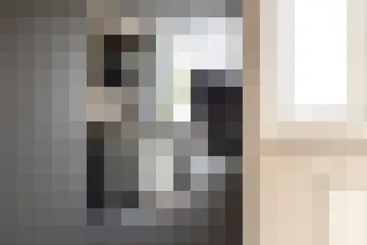Bereklauw 5 Maartensdijk thumbnail 14