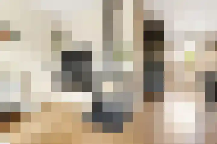 Bereklauw 5 Maartensdijk thumbnail 19