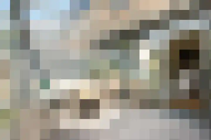 Bereklauw 5 Maartensdijk thumbnail 20