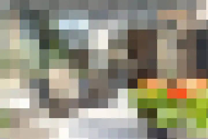 Bereklauw 5 Maartensdijk thumbnail 21