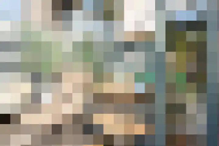Bereklauw 5 Maartensdijk thumbnail 22