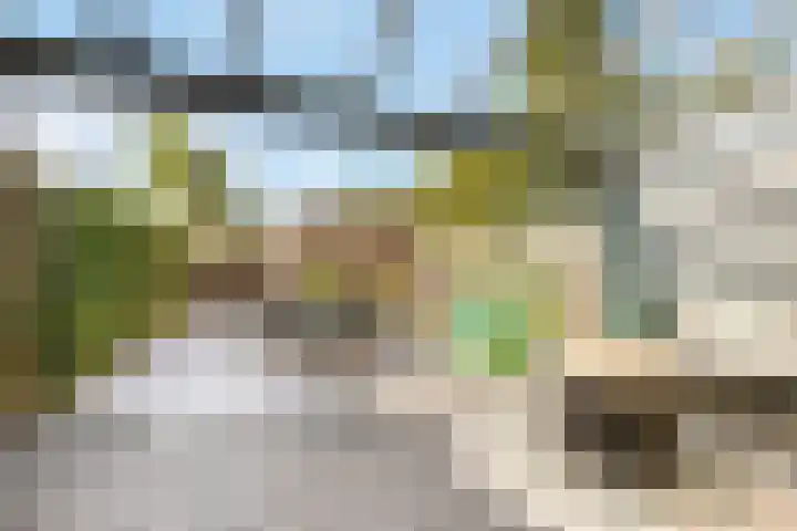 Bereklauw 5 Maartensdijk thumbnail 23