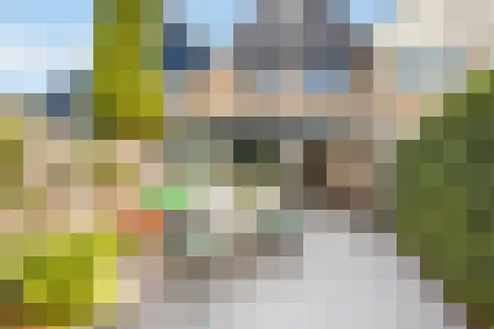 Bereklauw 5 Maartensdijk thumbnail 24