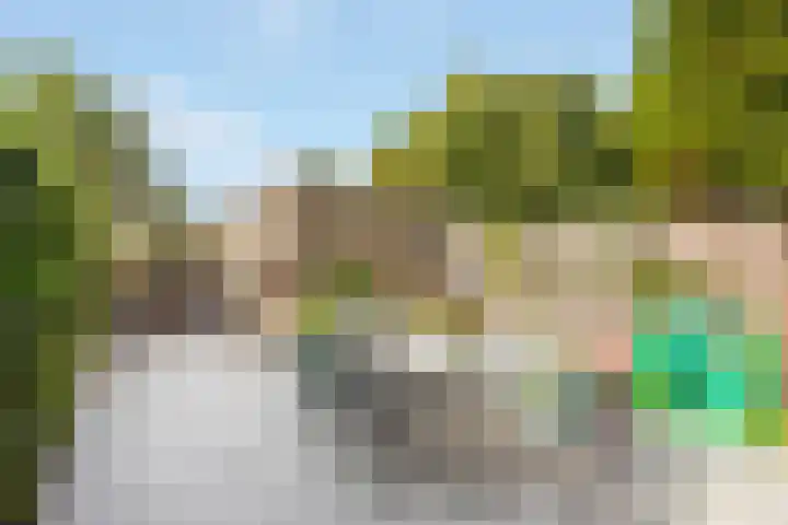Bereklauw 5 Maartensdijk thumbnail 25