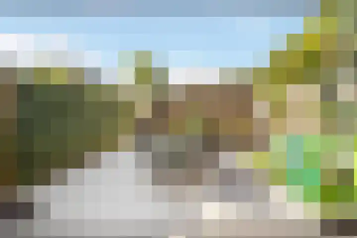 Bereklauw 5 Maartensdijk thumbnail 26