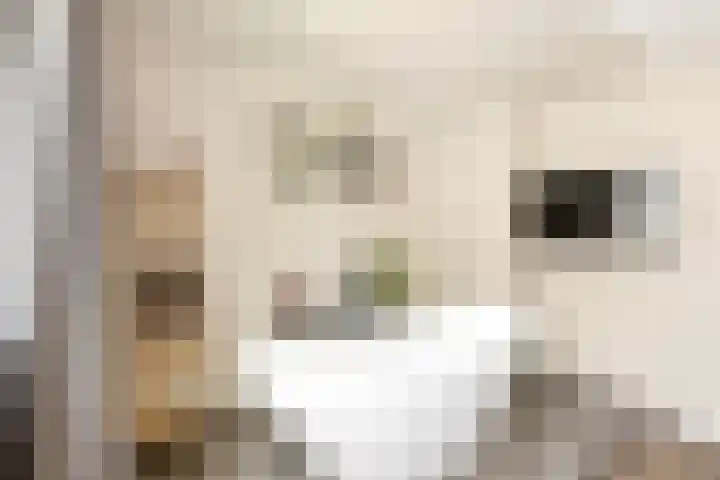 Bereklauw 5 Maartensdijk thumbnail 32