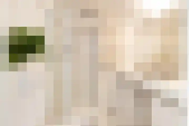 Bereklauw 5 Maartensdijk thumbnail 34