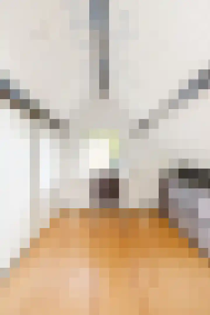 Bereklauw 5 Maartensdijk thumbnail 41