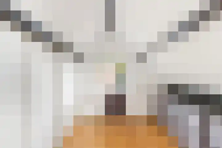 Bereklauw 5 Maartensdijk thumbnail 42