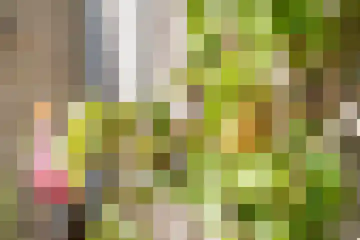Bereklauw 5 Maartensdijk thumbnail 43