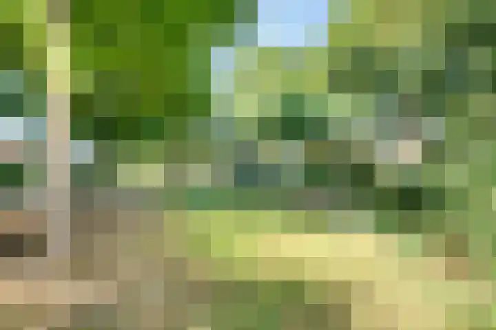 Bereklauw 5 Maartensdijk thumbnail 44