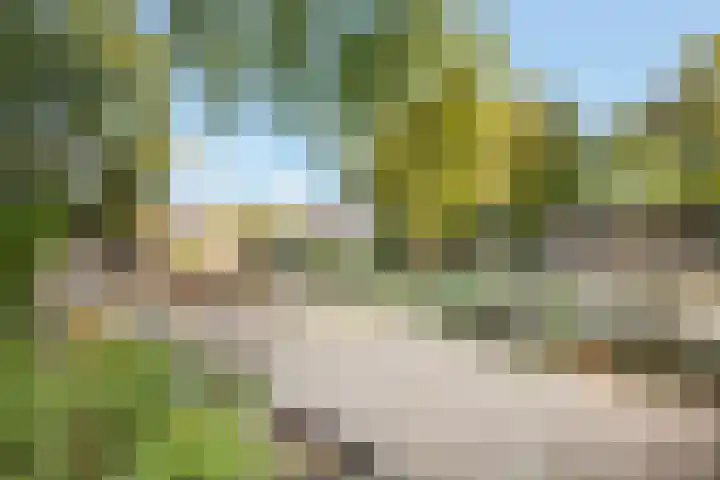 Bereklauw 5 Maartensdijk thumbnail 45