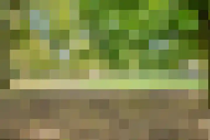 Bereklauw 5 Maartensdijk thumbnail 46