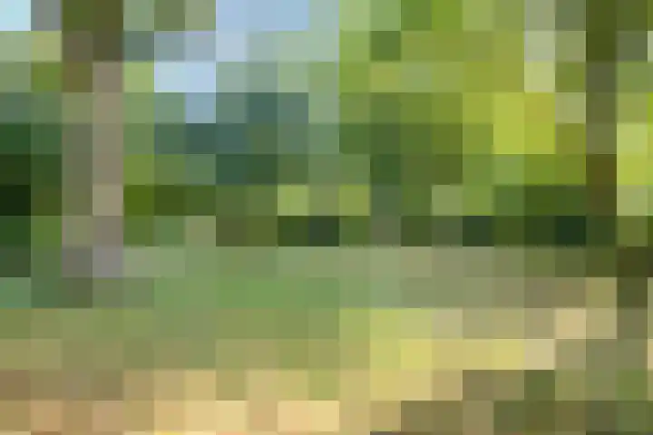 Bereklauw 5 Maartensdijk thumbnail 47