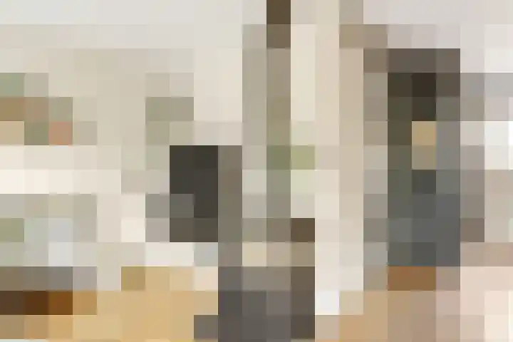 Bereklauw 5 Maartensdijk thumbnail 9