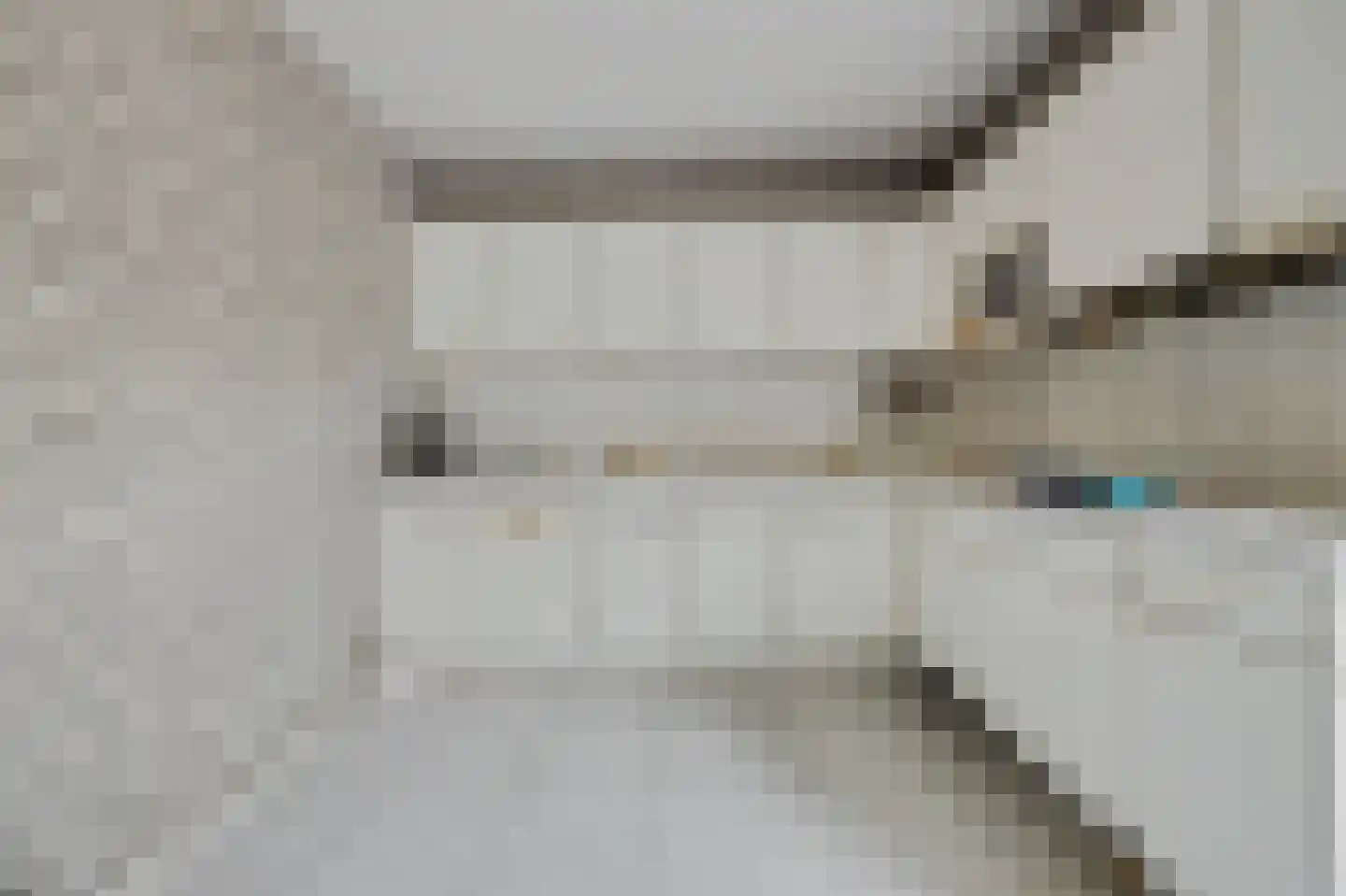 Bereklauw 5 Udenhout thumbnail 12