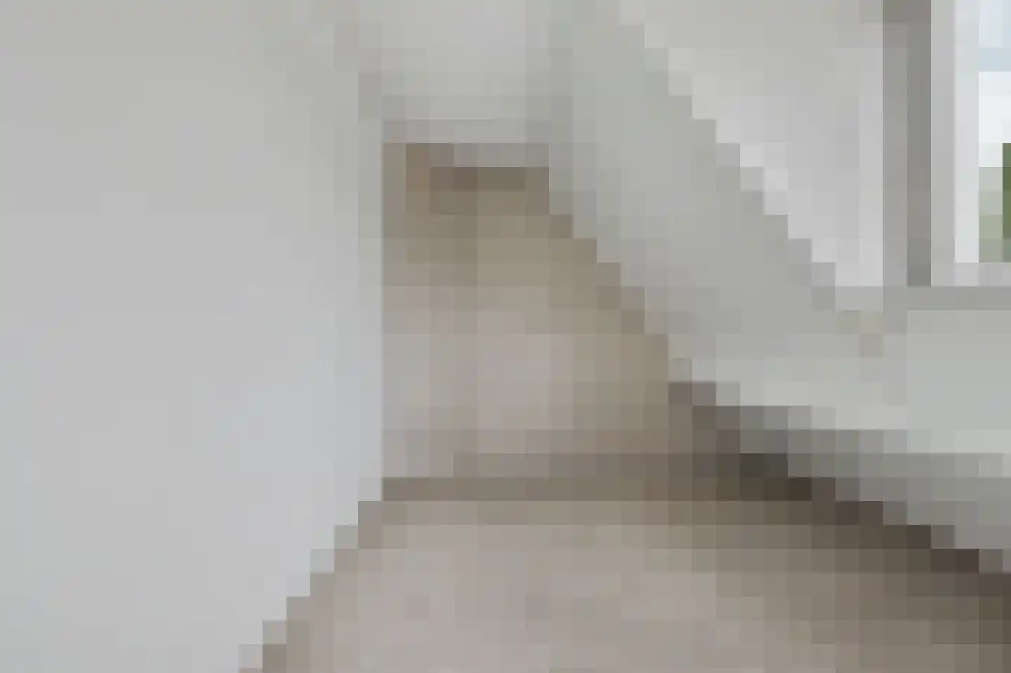 Bereklauw 5 Udenhout thumbnail 21