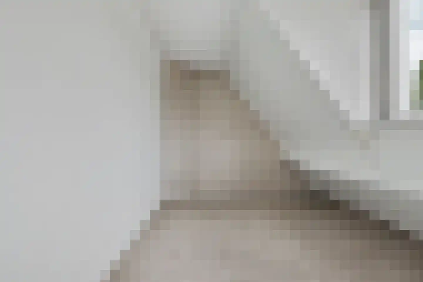 Bereklauw 5 Udenhout thumbnail 21