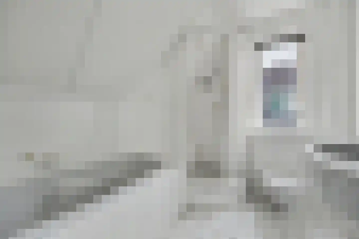 Bereklauw 5 Udenhout thumbnail 23