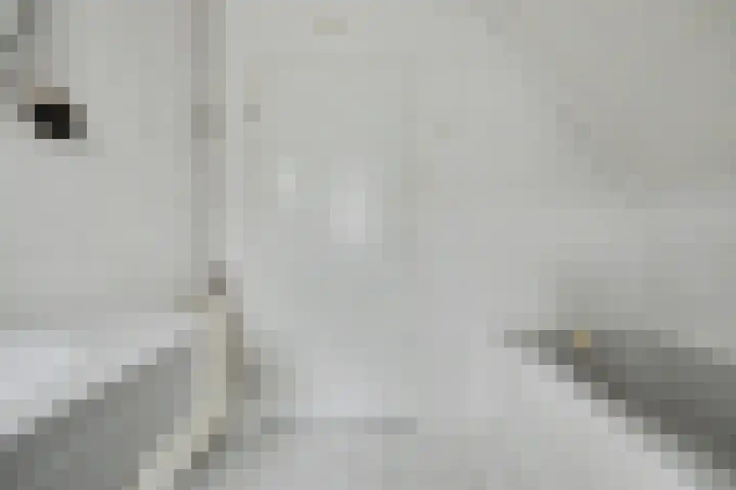 Bereklauw 5 Udenhout thumbnail 24