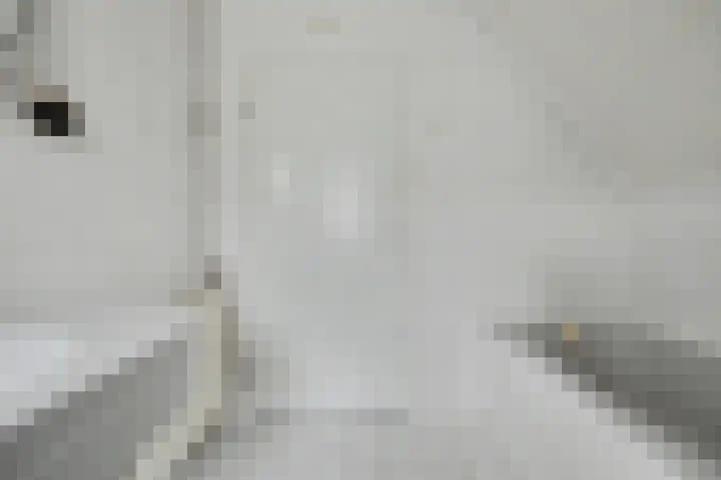 Bereklauw 5 Udenhout thumbnail 24