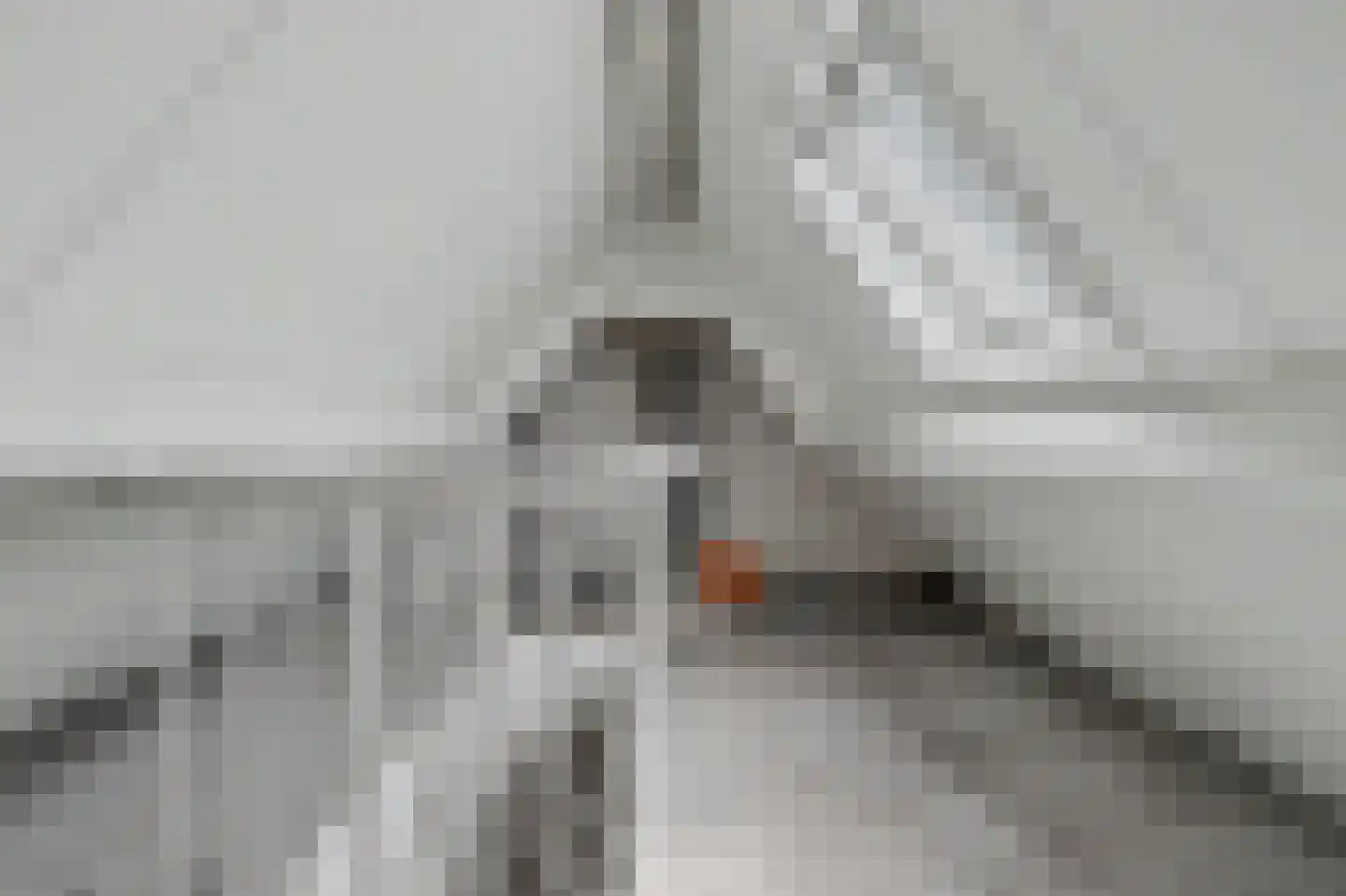 Bereklauw 5 Udenhout thumbnail 25