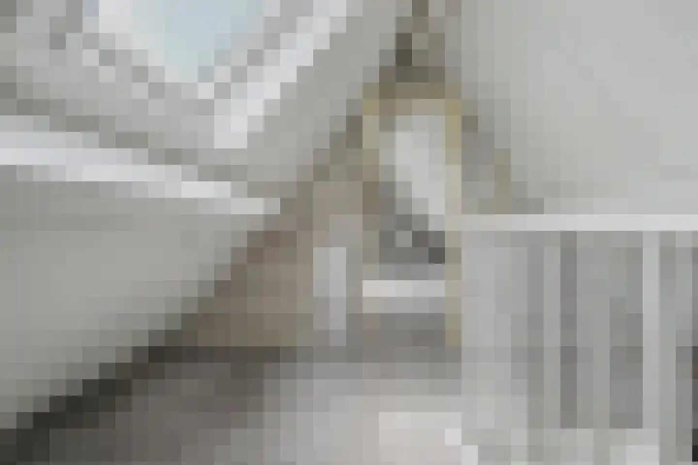 Bereklauw 5 Udenhout thumbnail 27