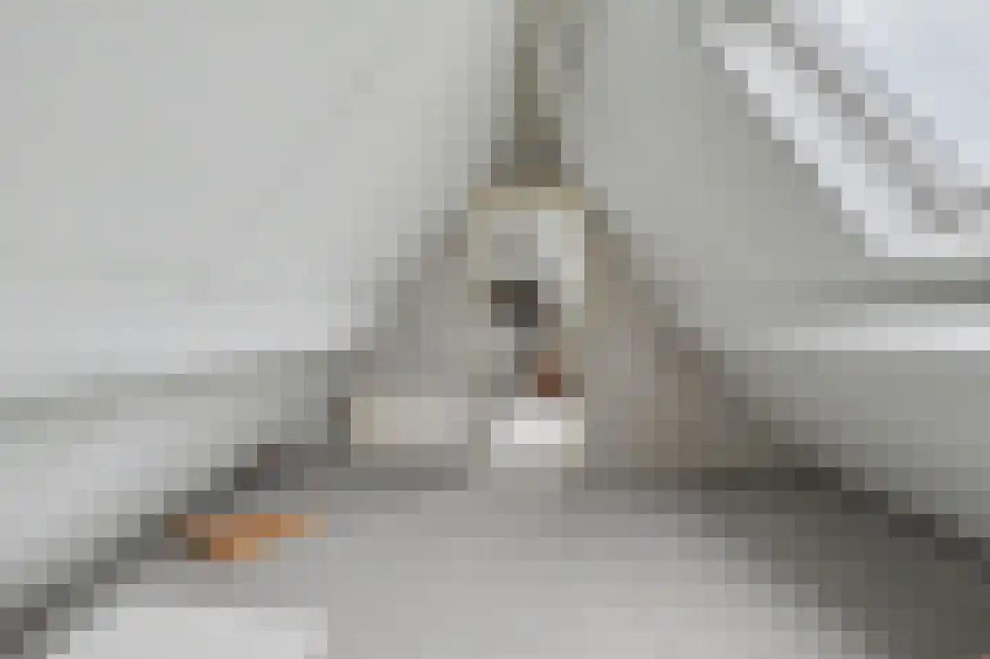 Bereklauw 5 Udenhout thumbnail 29