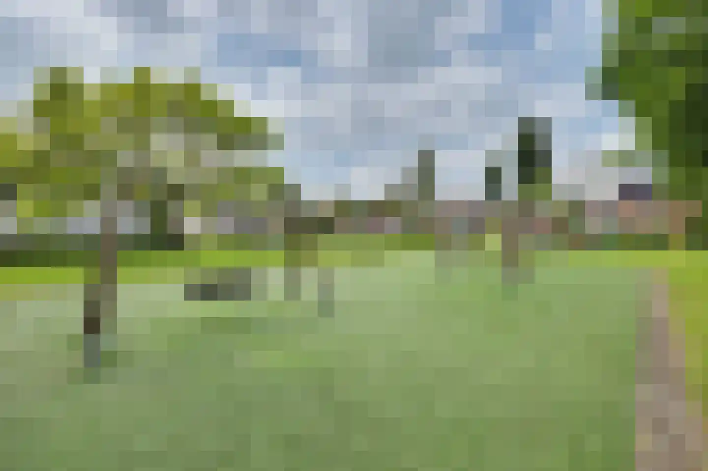 Bereklauw 5 Udenhout thumbnail 34