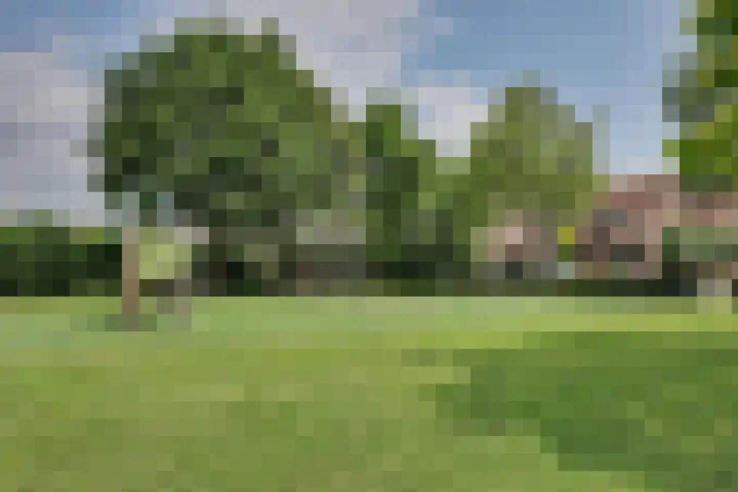 Bereklauw 5 Udenhout thumbnail 35