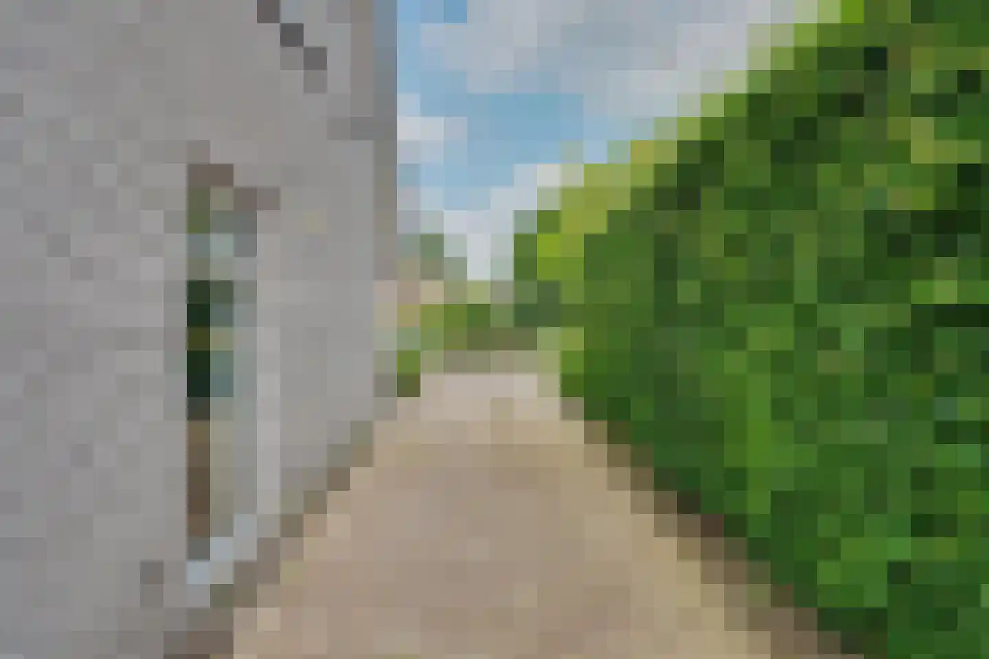 Bereklauw 5 Udenhout thumbnail 6
