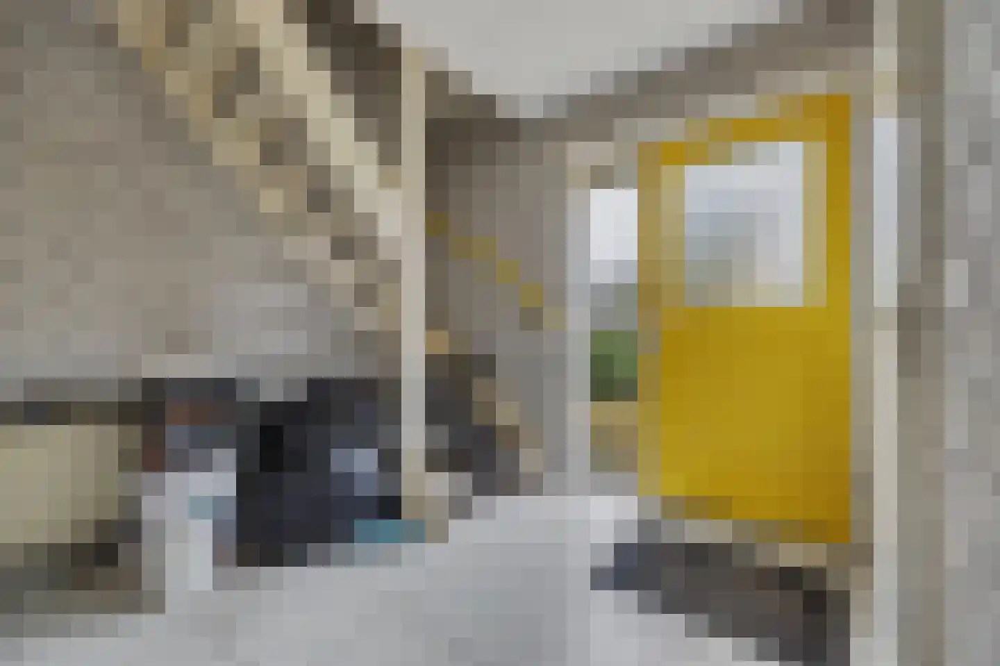 Bereklauw 5 Udenhout thumbnail 8