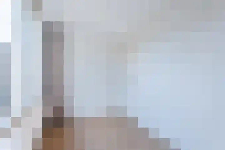 Bereklauw 54 Cuijk thumbnail 14