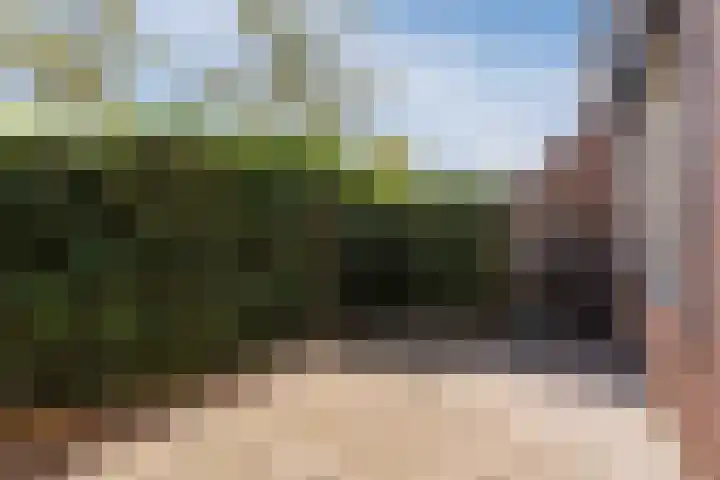 Bereklauw 54 Cuijk thumbnail 17