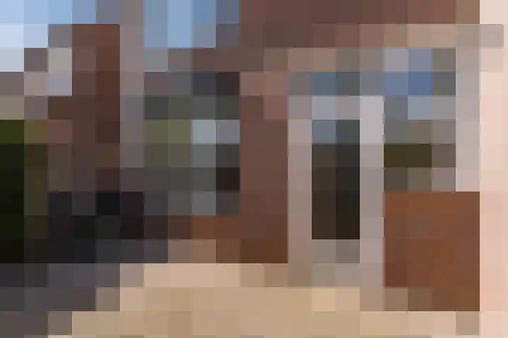 Bereklauw 54 Cuijk thumbnail 18