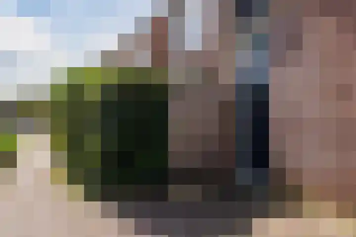 Bereklauw 54 Cuijk thumbnail 19