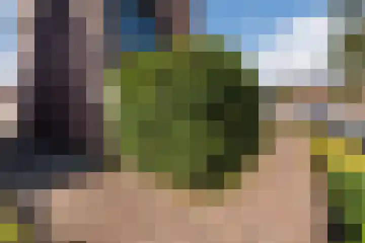 Bereklauw 54 Cuijk thumbnail 20
