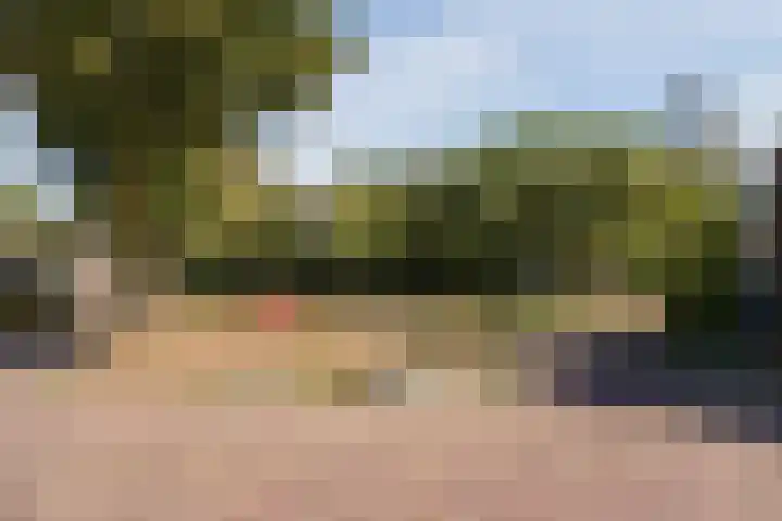 Bereklauw 54 Cuijk thumbnail 21
