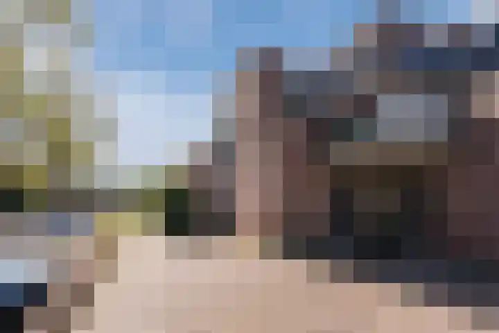 Bereklauw 54 Cuijk thumbnail 4