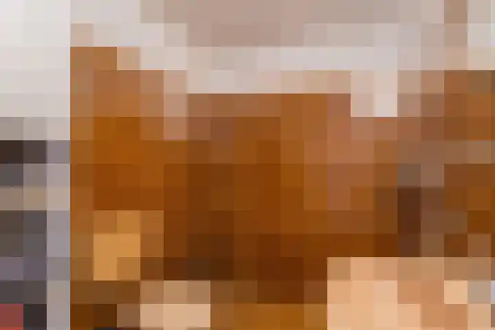Bereklauw 55 Naaldwijk thumbnail 20