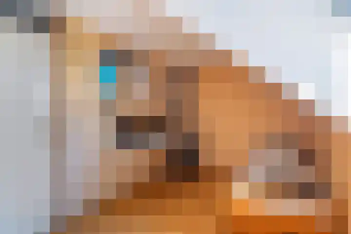 Bereklauw 55 Naaldwijk thumbnail 24
