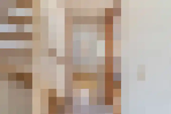 Bereklauw 55 Naaldwijk thumbnail 26