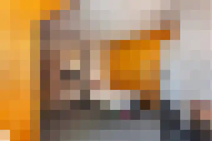 Bereklauw 55 Naaldwijk thumbnail 30